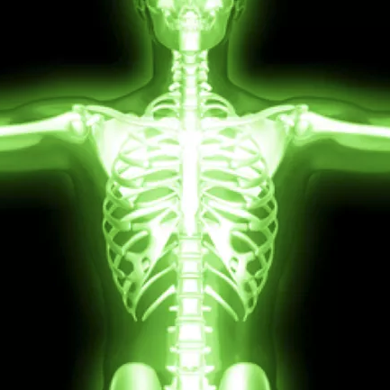 Xray of skeleton glowing