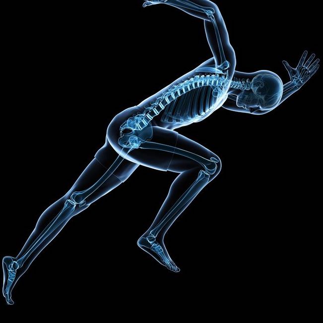 xray of person striding